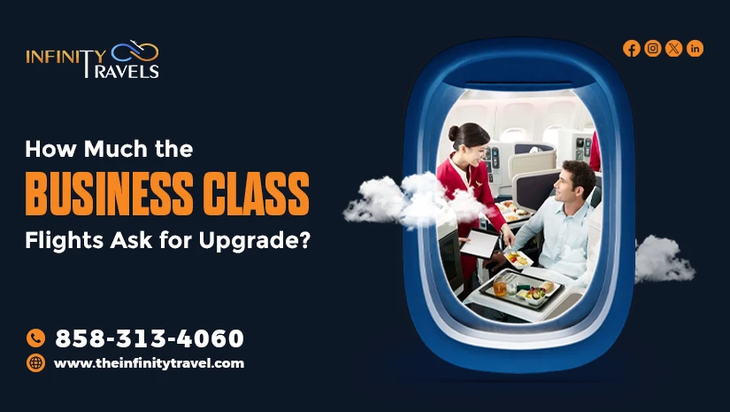 How-Much-the-Business-Class-Flights-Ask-for-Upgrade_1719402136.webp