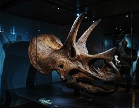 fossil-world-dinosaur-discovery-center
