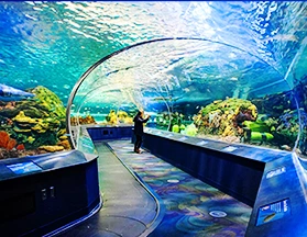 aquarium-of-canada