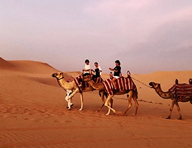 ride-across-the-desert-at-desert-safari