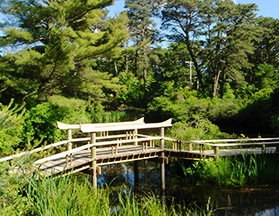 mytoi-japanese-garden