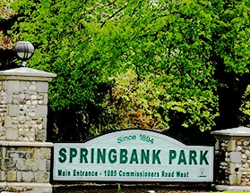 springbank-park